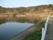 10日の見附市大平森林公園