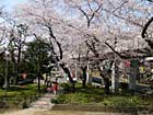 八幡公園