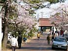本成寺