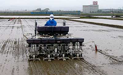 三条市代官島地内で始まった直播栽培の田植え