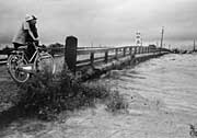 昭和36年集中豪雨(五十嵐川・一新橋)