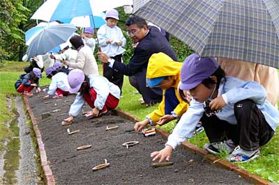 17日、中小企業大学校三条校で行われた第2つくし保育園園児によるヒマワリの種まき