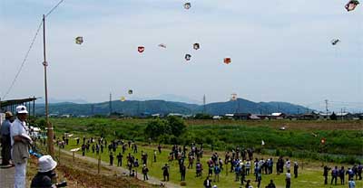 5、6の2日間、田島橋下流の五十嵐川右岸河川敷で開かれている三条凧合戦