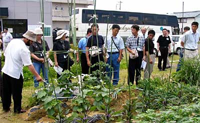 燕市民農園を視察する韓国・丹陽郡農業技術センター訪日団