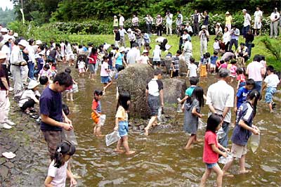 27日、栄町・しらさぎ森林公園で開かれたニジマスつかみどり大会