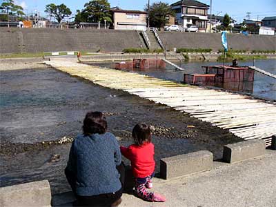 ウライが仕掛けられた下川原橋下河川敷