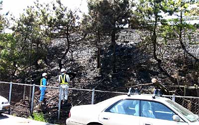 11日昼、草などが燃える火事のあった燕市井土巻5地内の北陸自動車斜面