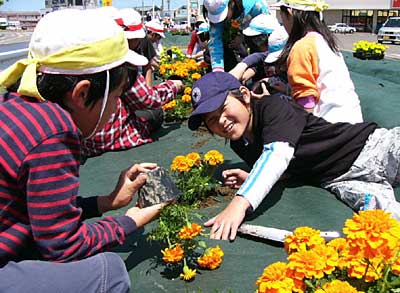 17日、燕市廿六木三区地内の市道桜町井土巻線の緑地帯で花苗の植栽を行う燕西小学校4、5年生