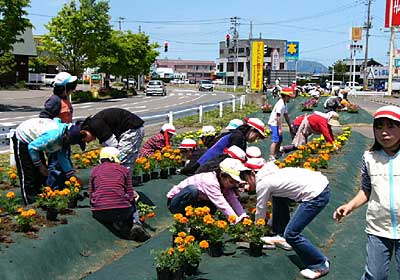 あっという間に花咲く緑地帯に生まれ変わった