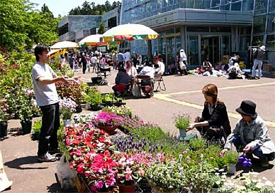 21日、好天に恵まれてにぎわう春の保内公園まつり