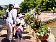 来場者が投票する寄せ植えコンテスト