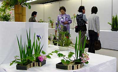 21、22の2日間開かれている「みんなの花展・創流110周年いけばな小原流長岡支部三条地区展」