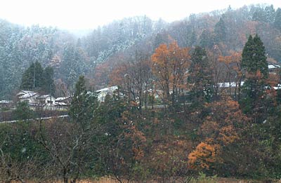篭場付近で紅葉の残る木々に降る雪(午前9時30分)