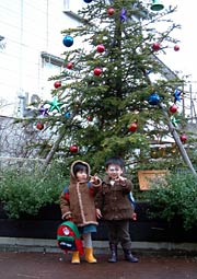 モミの木の前で記念撮影する園児