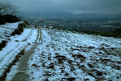29日夕方、三条市の市街地の雪はとけたが、大崎山の畑には雪がまだらに残る