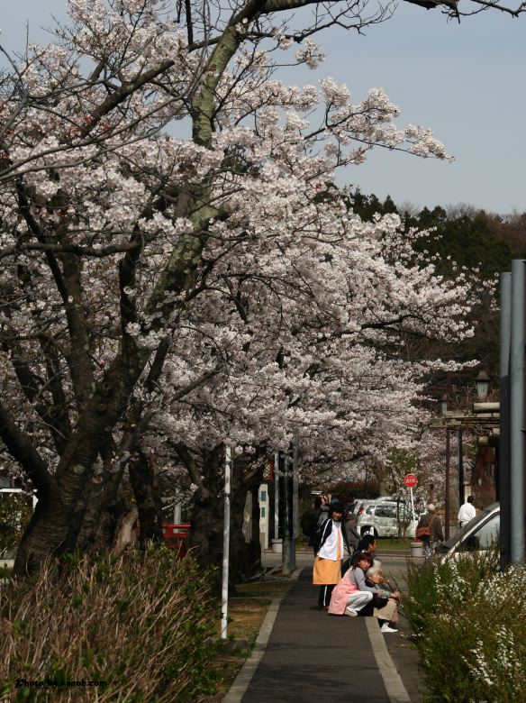 弥彦駅前