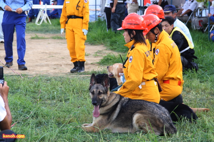 災害救助犬