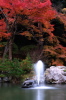 弥彦駅から弥彦公園へ入ってすぐの池の噴水と紅葉