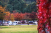 三条市槻の森運動公園