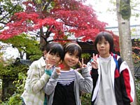落ち葉拾いに熱中する小学生