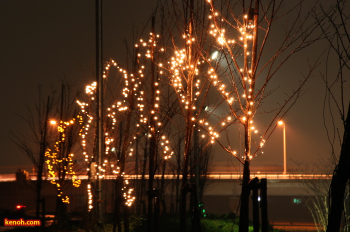 燕市大曲河川公園