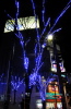 県の「商店街活性化イルミネーション事業」によるパルムのイルミネーションと点灯式