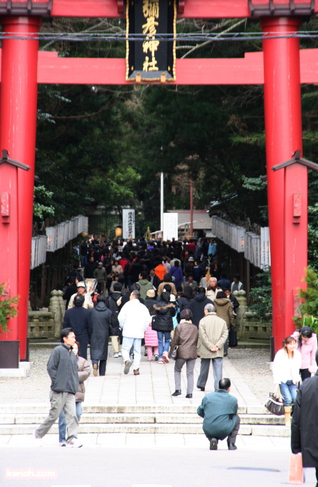 弥彦神社初詣