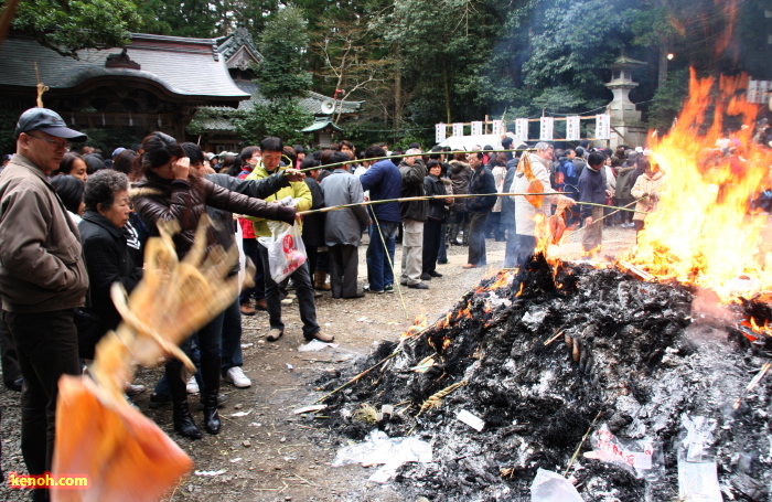 弥彦神社初詣