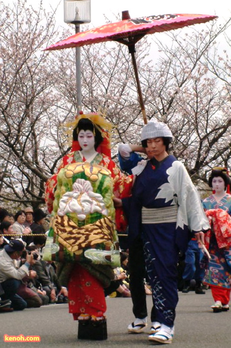 大河津分水・桜並木