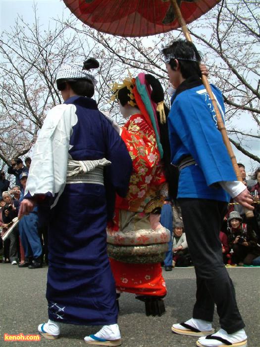 大河津分水・桜並木