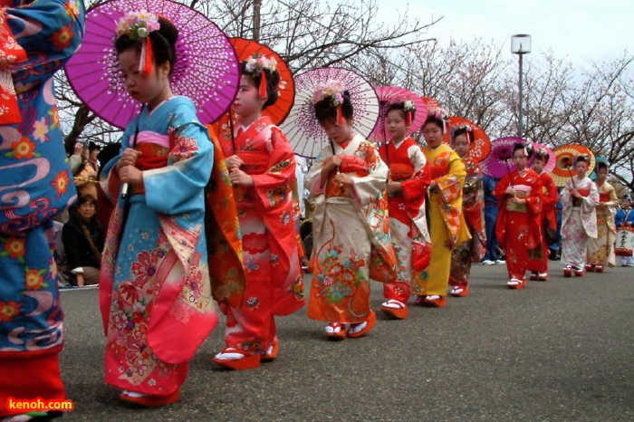 大河津分水・桜並木