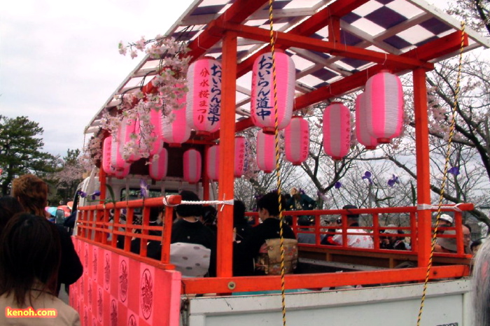 大河津分水・桜並木