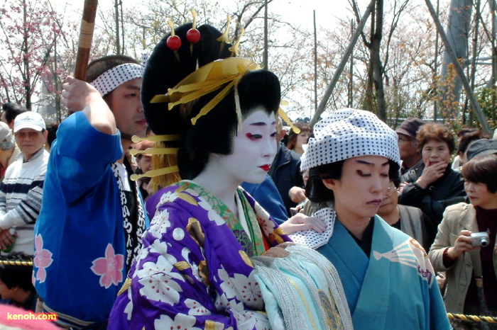 大河津分水・桜並木