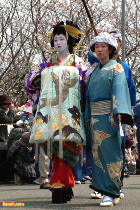 大河津分水・桜並木