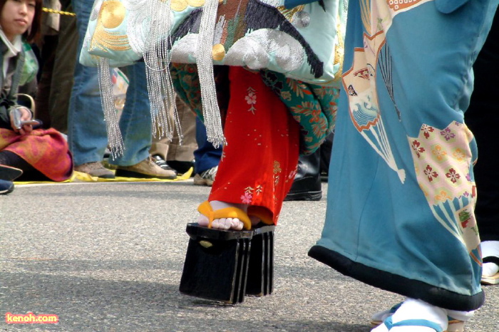 大河津分水・桜並木