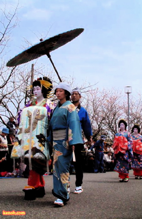 大河津分水・桜並木