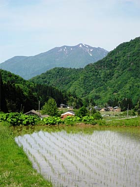 「しただブログ」に掲載された21日の遅場地区から望む粟ヶ岳
