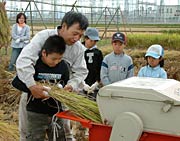 脱穀機にも挑戦