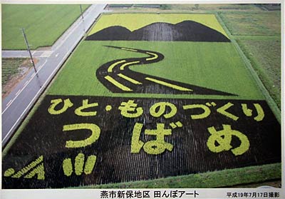 燕市景観作物推進協議会が制作した田んぼアートの写真