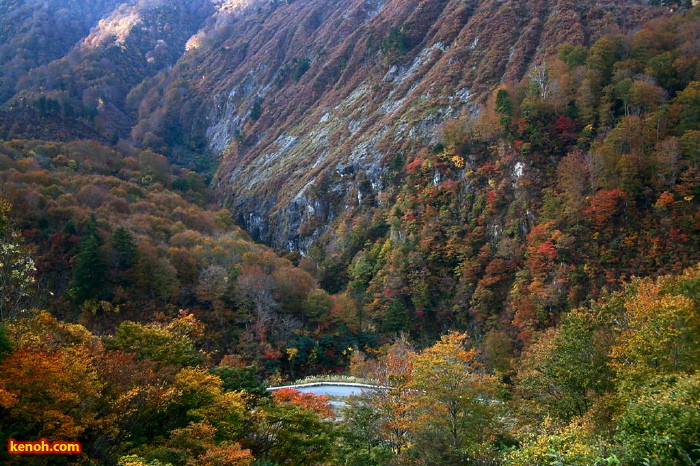 八十里越工事用道路から望む紅葉