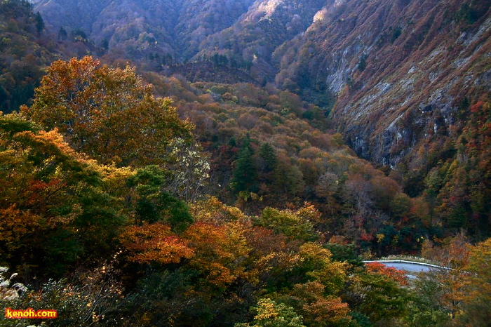 八十里越工事用道路から望む紅葉