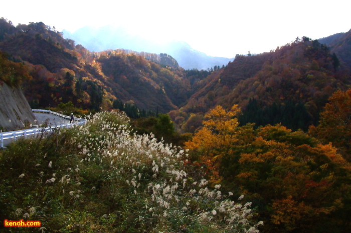 八十里越工事用道路から望む紅葉