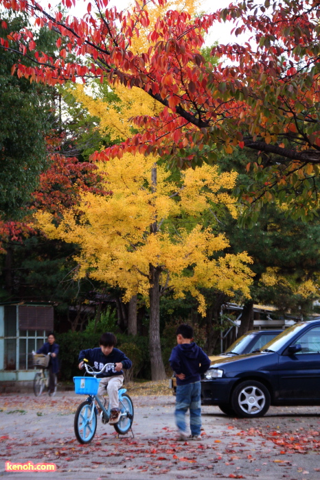 三条小学校の紅葉