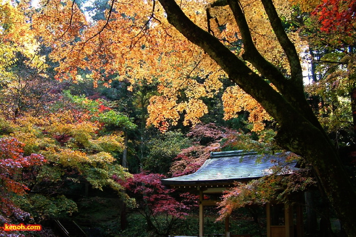 加茂山公園・神池から東屋付近