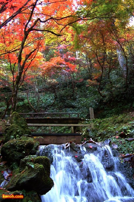 加茂山公園・神池から東屋付近