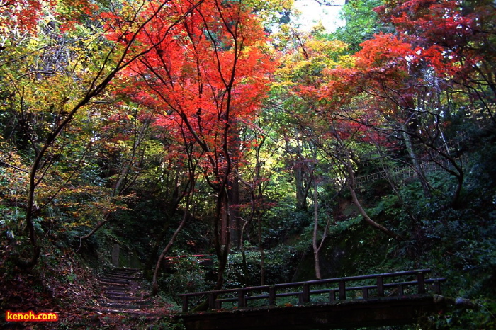 加茂山公園・神池から東屋付近