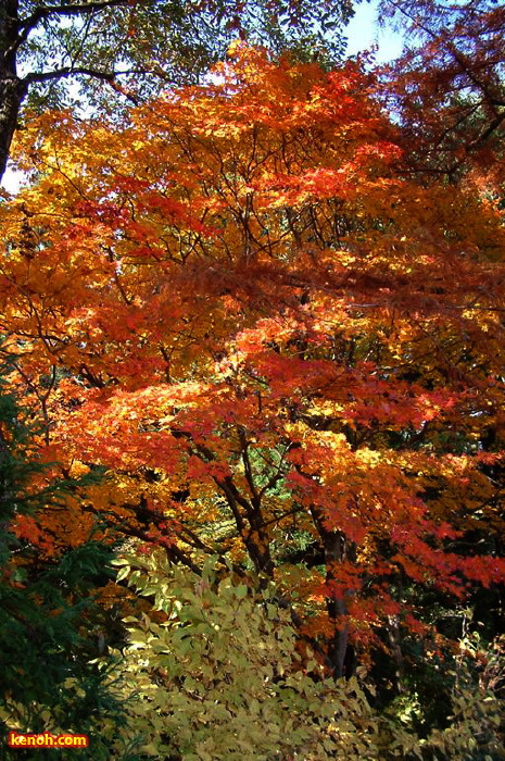 加茂山公園・諏訪神社付近