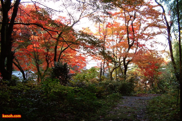 加茂山公園・諏訪神社付近