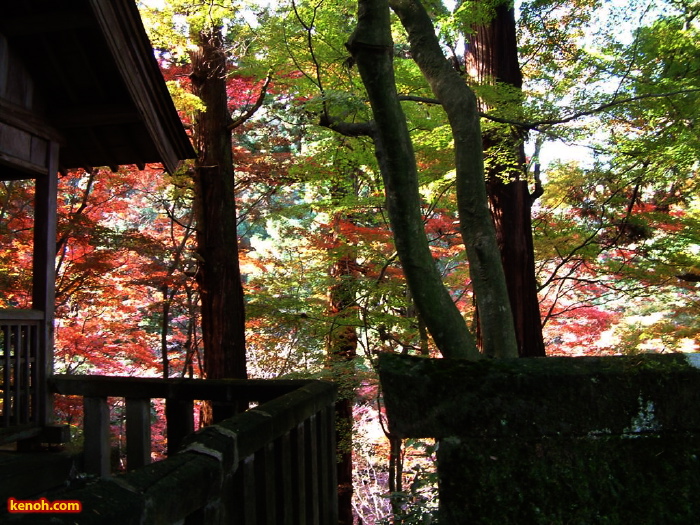 加茂山公園・諏訪神社付近