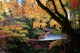 加茂山公園・神池から東屋付近